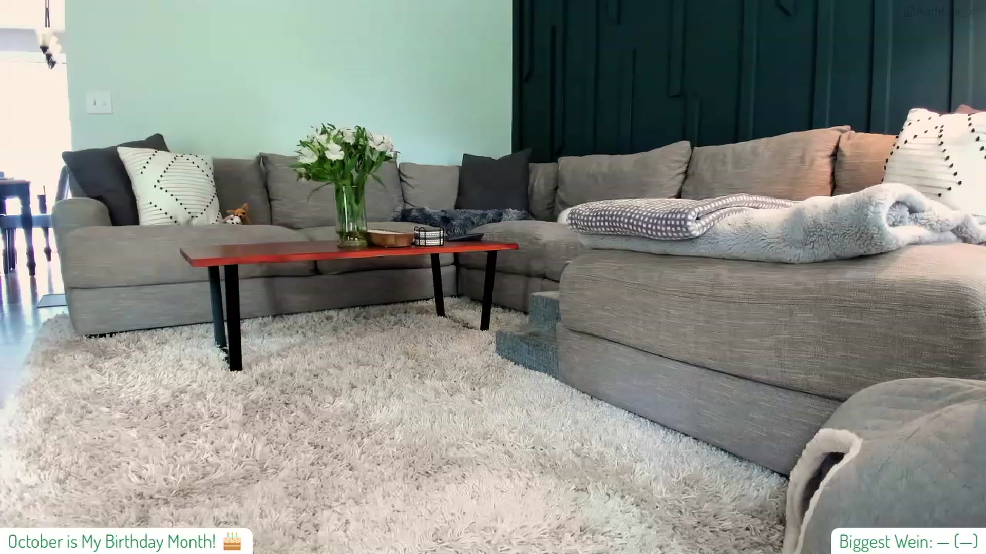 Gallery image thumbnail from AddiLee's myfreecams stream on, 08/25/2023, 18:49 image 1 of 20