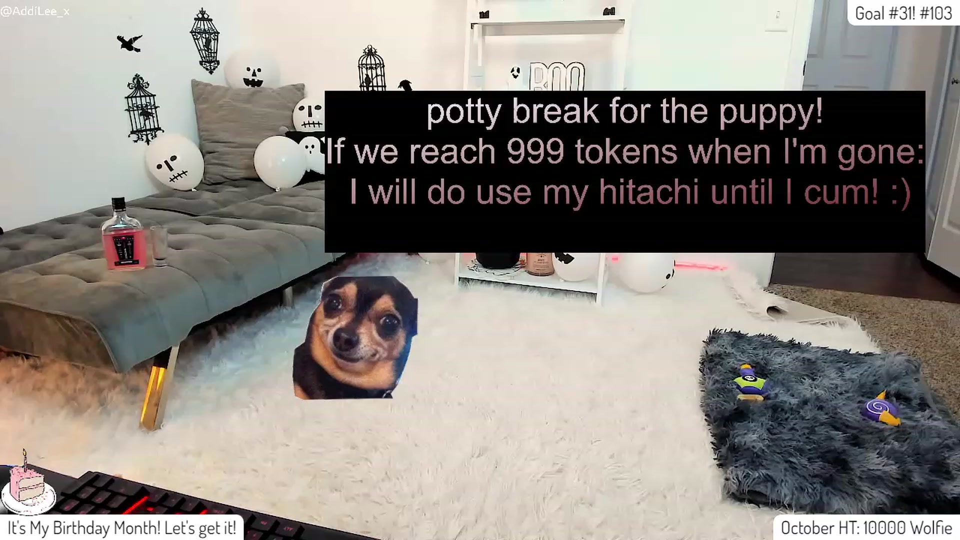 Gallery image thumbnail from AddiLee's myfreecams stream on, 10/02/2023, 21:13 image 11 of 20