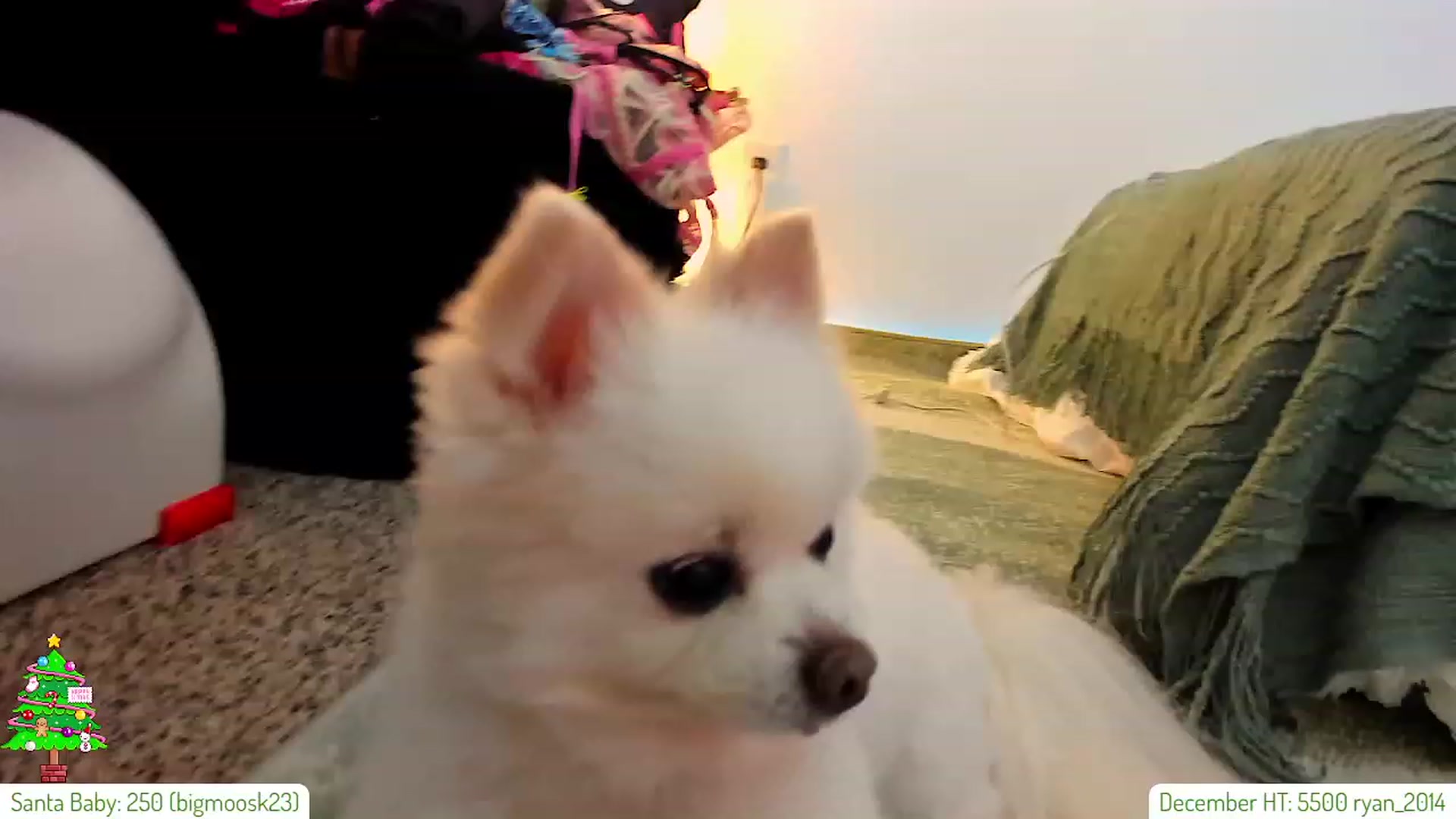 Gallery image thumbnail from AddiLee's myfreecams stream on, 12/22/2023, 21:23 image 14 of 20