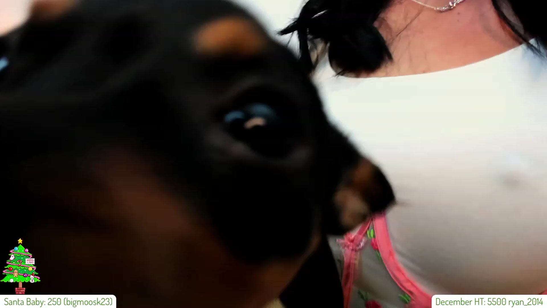 Gallery image thumbnail from AddiLee's myfreecams stream on, 12/22/2023, 21:56 image 14 of 20