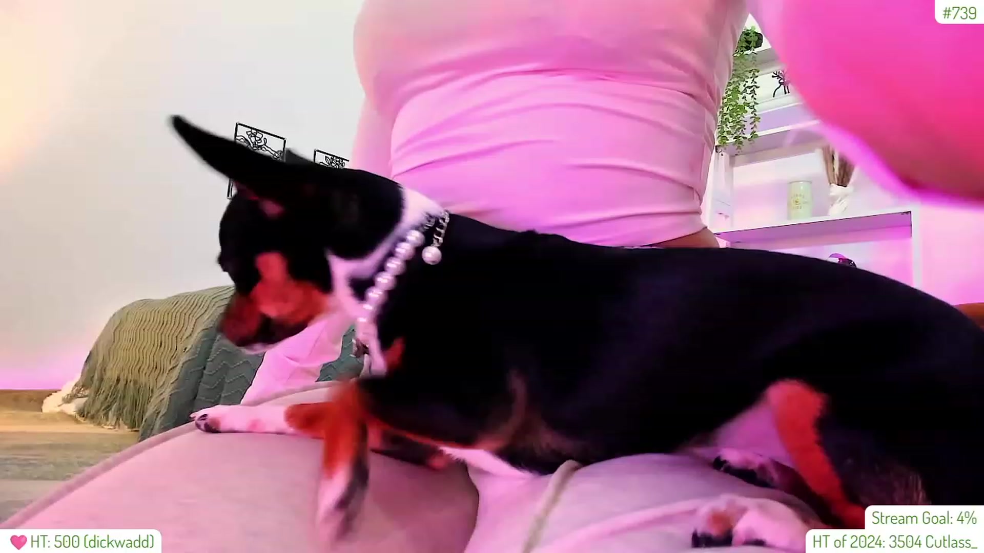 Gallery image thumbnail from AddiLee's myfreecams stream on, 01/09/2024, 21:08 image 12 of 20