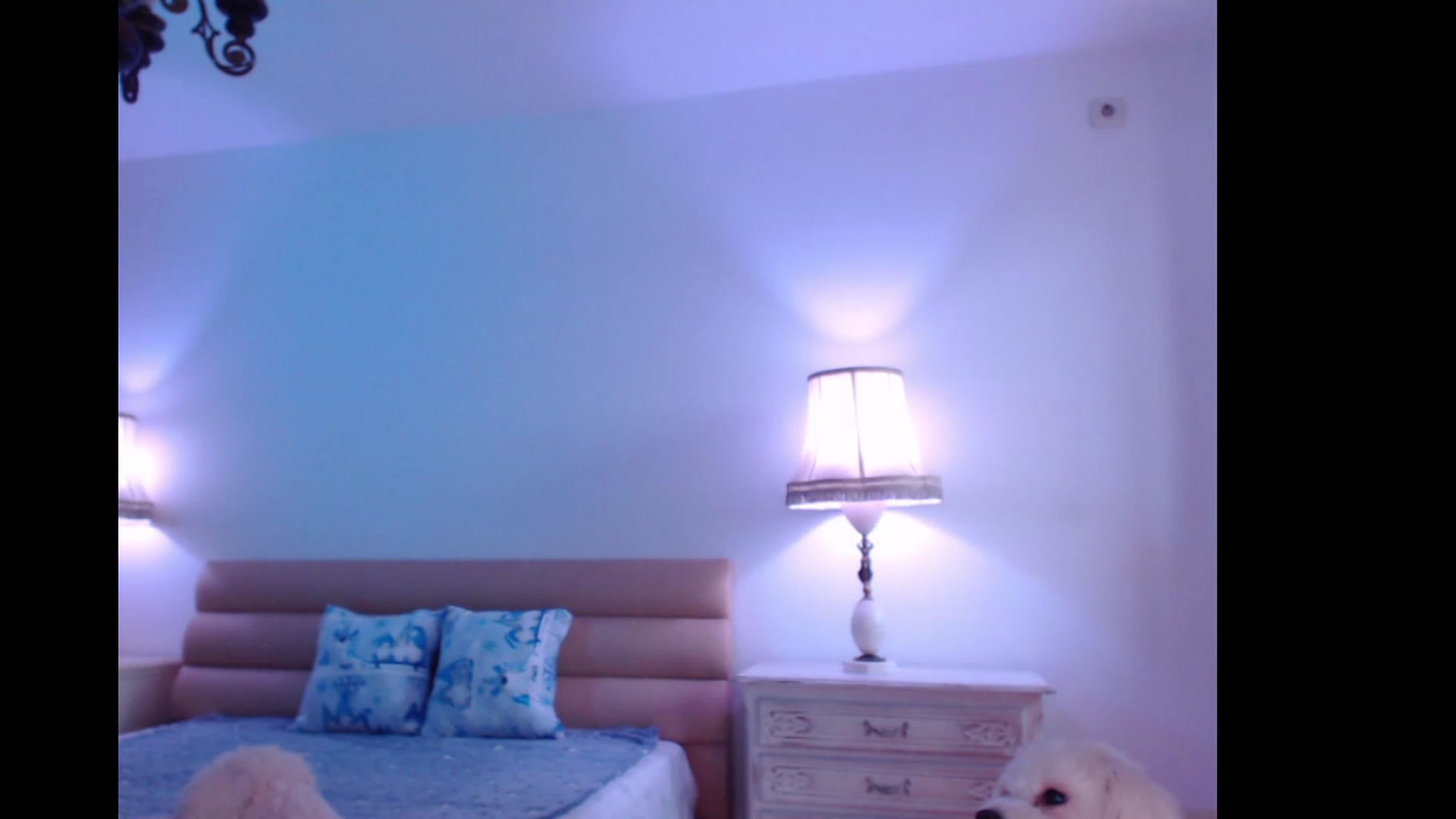 Gallery image thumbnail from AddictiveLara's myfreecams stream on, 11/28/2022, 09:46 image 6 of 20