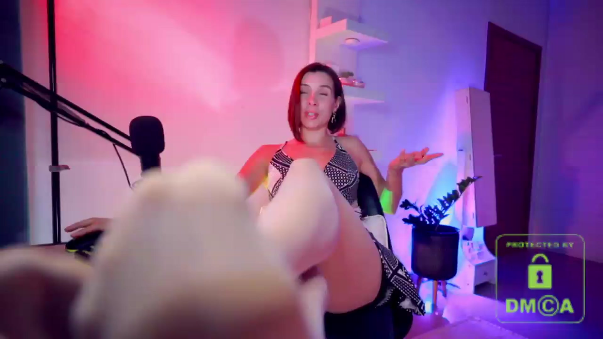 Gallery image thumbnail from AddictsQueen's myfreecams stream on, 05/21/2026, 05:51 image 14 of 20