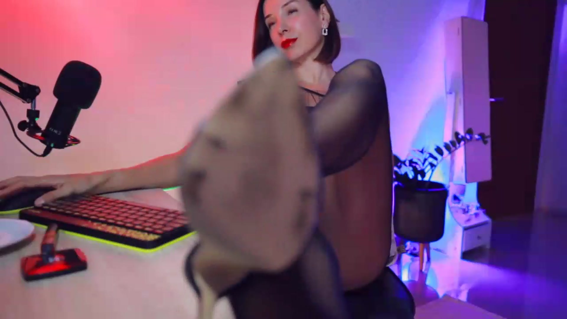 Gallery image thumbnail from AddictsQueen's myfreecams stream on, 08/03/2026, 05:17 image 5 of 20