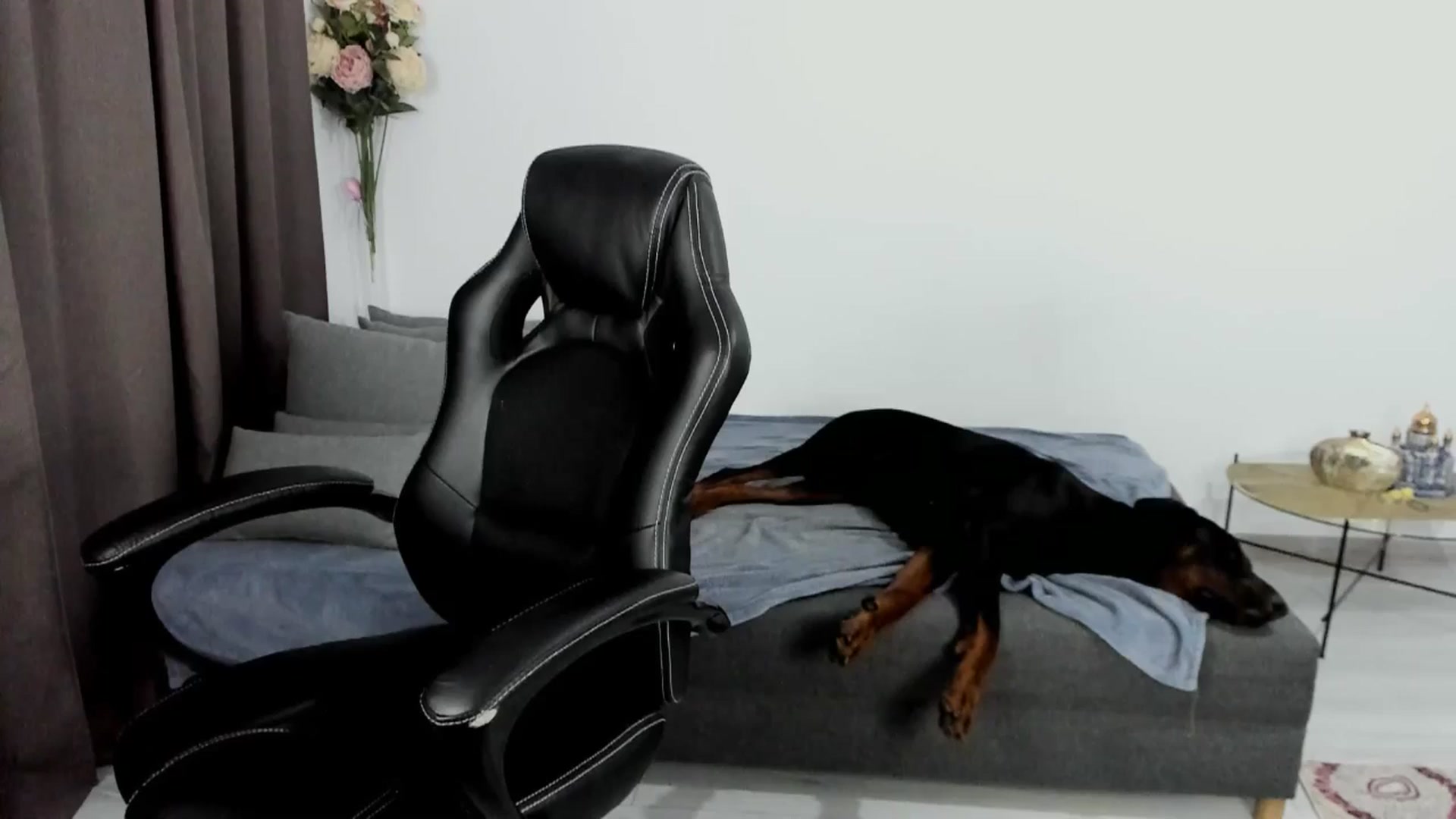 Gallery image thumbnail from Adisonn4you's myfreecams stream on, 06/15/2025, 02:23 image 14 of 20