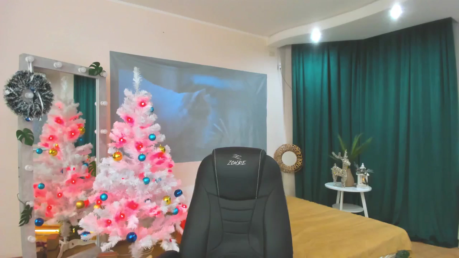 Gallery image thumbnail from AdmireMyEyes's myfreecams stream on, 12/26/2023, 08:52 image 4 of 20