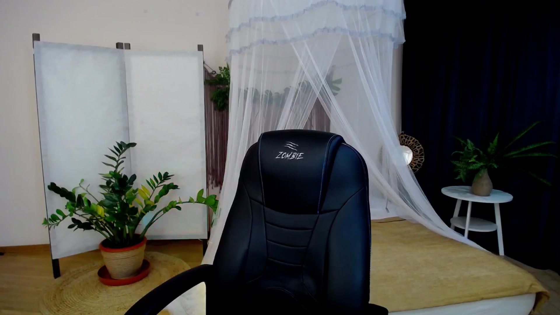 Gallery image thumbnail from AdmireMyEyes's myfreecams stream on, 11/26/2024, 23:03 image 3 of 20