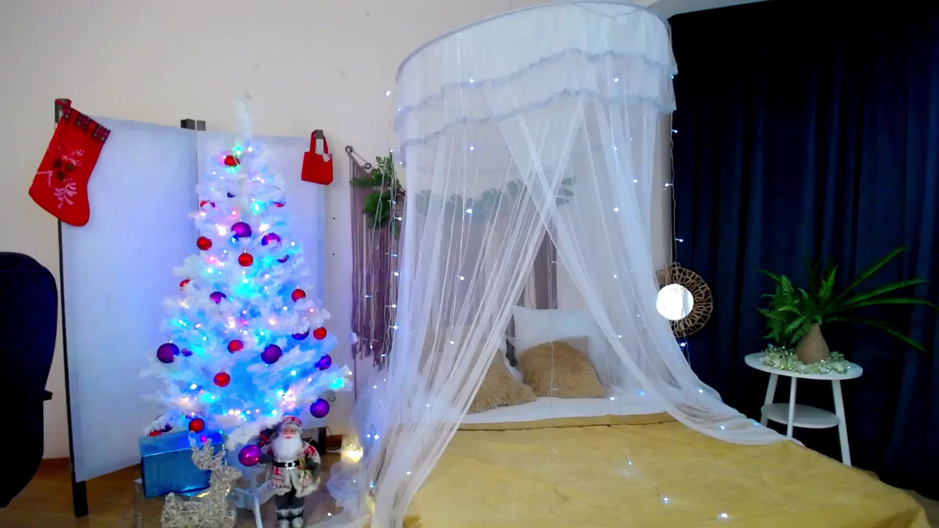 Gallery image thumbnail from AdmireMyEyes's myfreecams stream on, 12/08/2024, 21:47 image 14 of 20