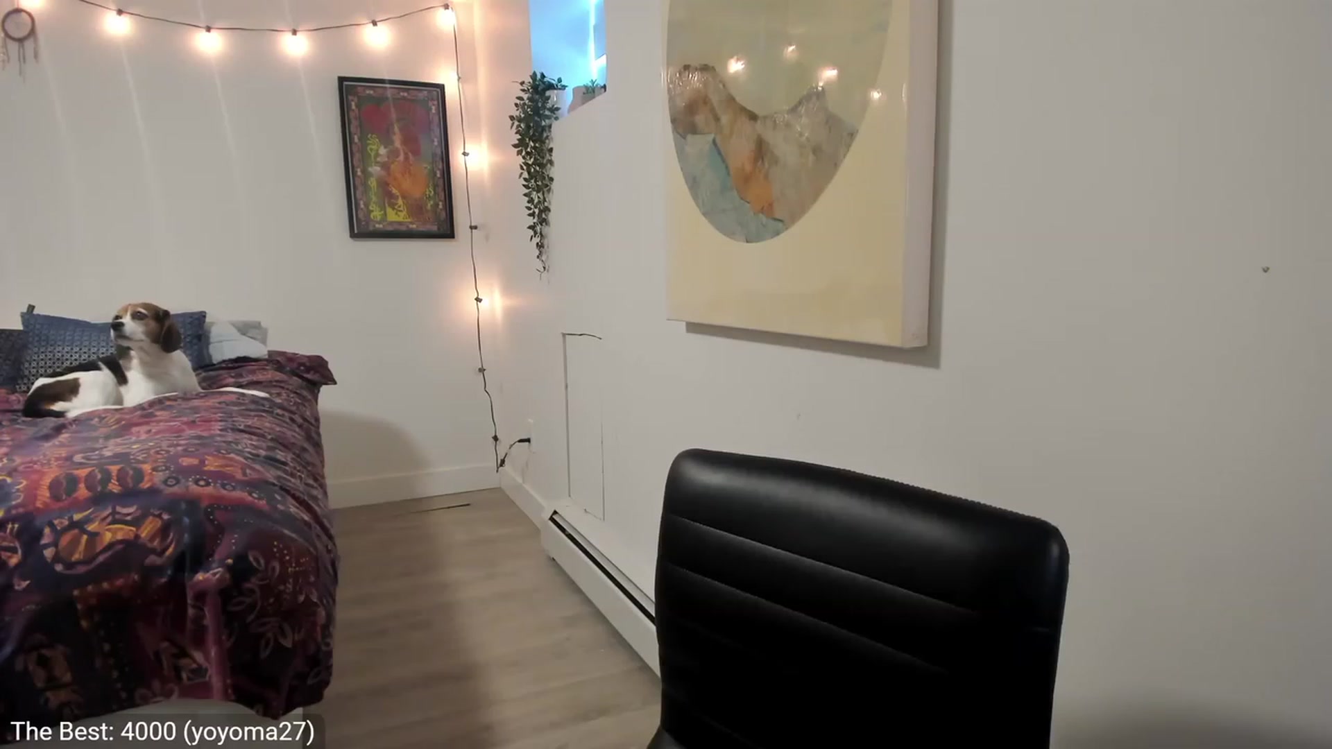 Gallery image thumbnail from AdorableDee's myfreecams stream on, 12/02/2022, 20:24 image 7 of 20