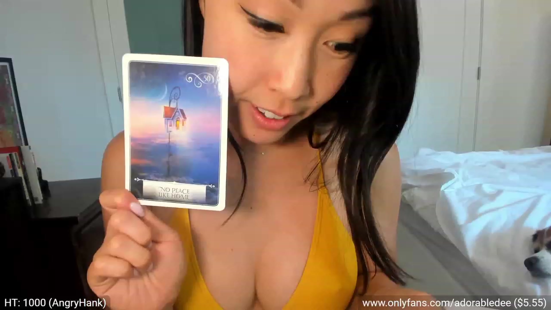 Gallery image thumbnail from AdorableDee's myfreecams stream on, 05/17/2023, 22:28 image 6 of 20