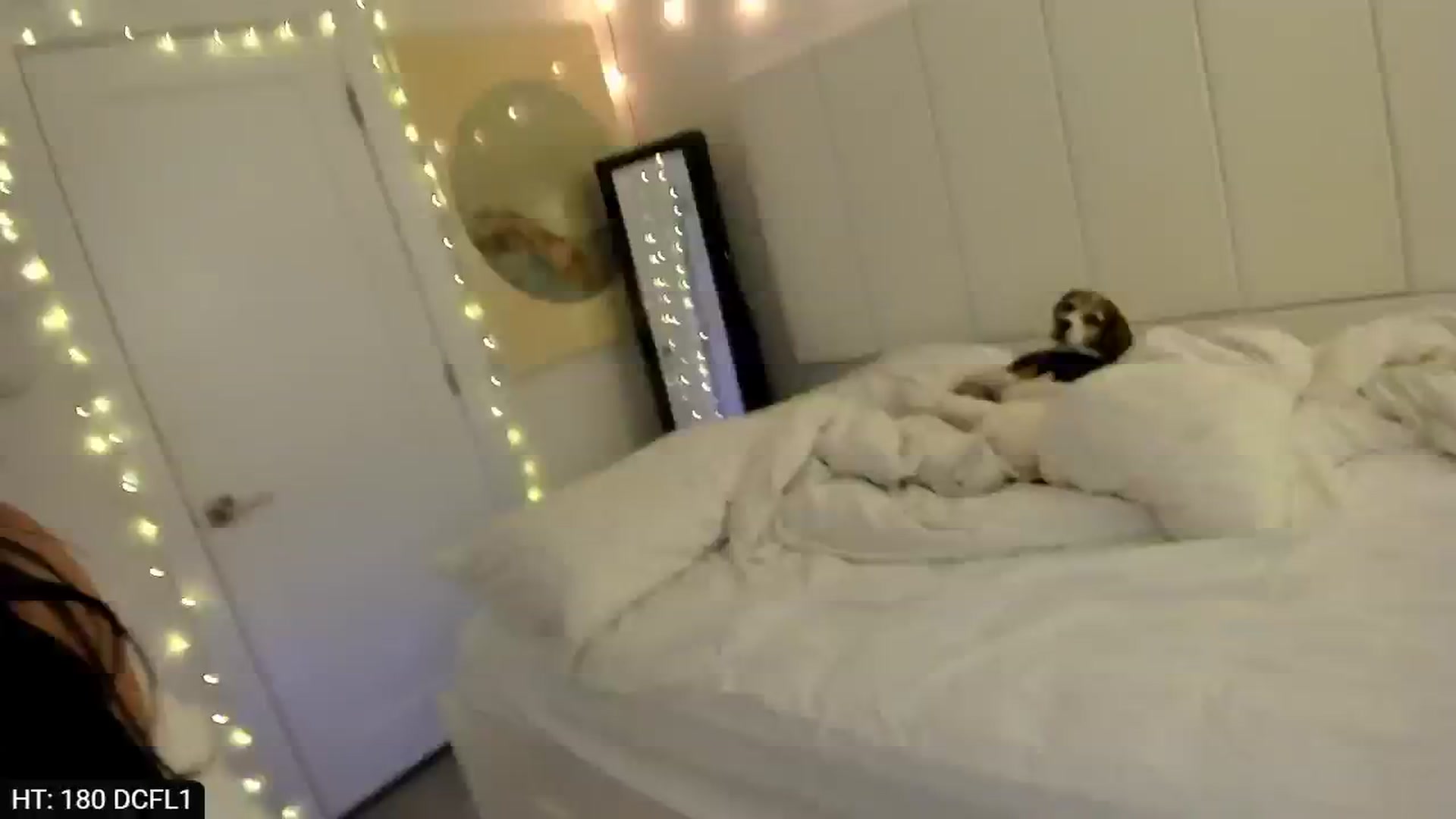 Gallery image thumbnail from AdorableDee's myfreecams stream on, 01/20/2024, 20:10 image 20 of 20