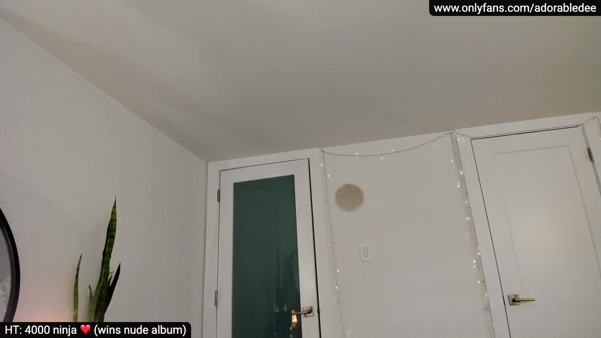 Gallery image thumbnail from AdorableDee's myfreecams stream on, 05/26/2025, 23:05 image 17 of 20