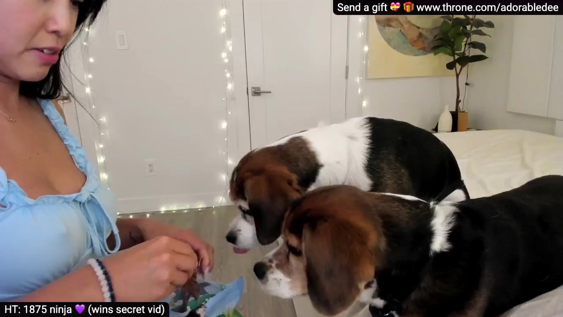 Gallery image thumbnail from AdorableDee's myfreecams stream on, 11/14/2025, 18:40 image 6 of 20