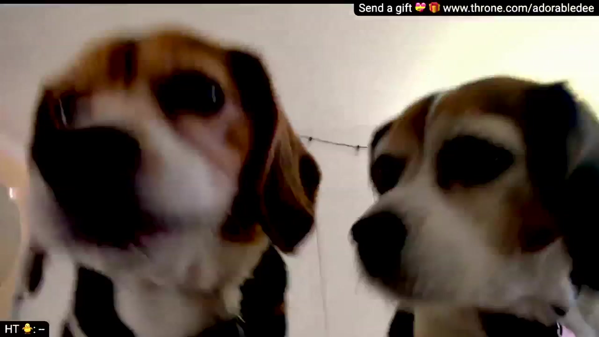 Gallery image thumbnail from AdorableDee's myfreecams stream on, 04/17/2026, 17:57 image 18 of 20