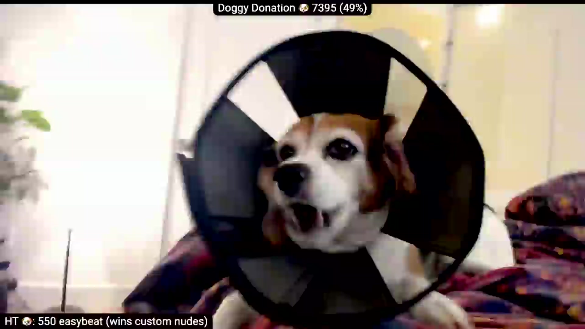 Gallery image thumbnail from AdorableDee's myfreecams stream on, 06/11/2026, 19:53 image 5 of 20