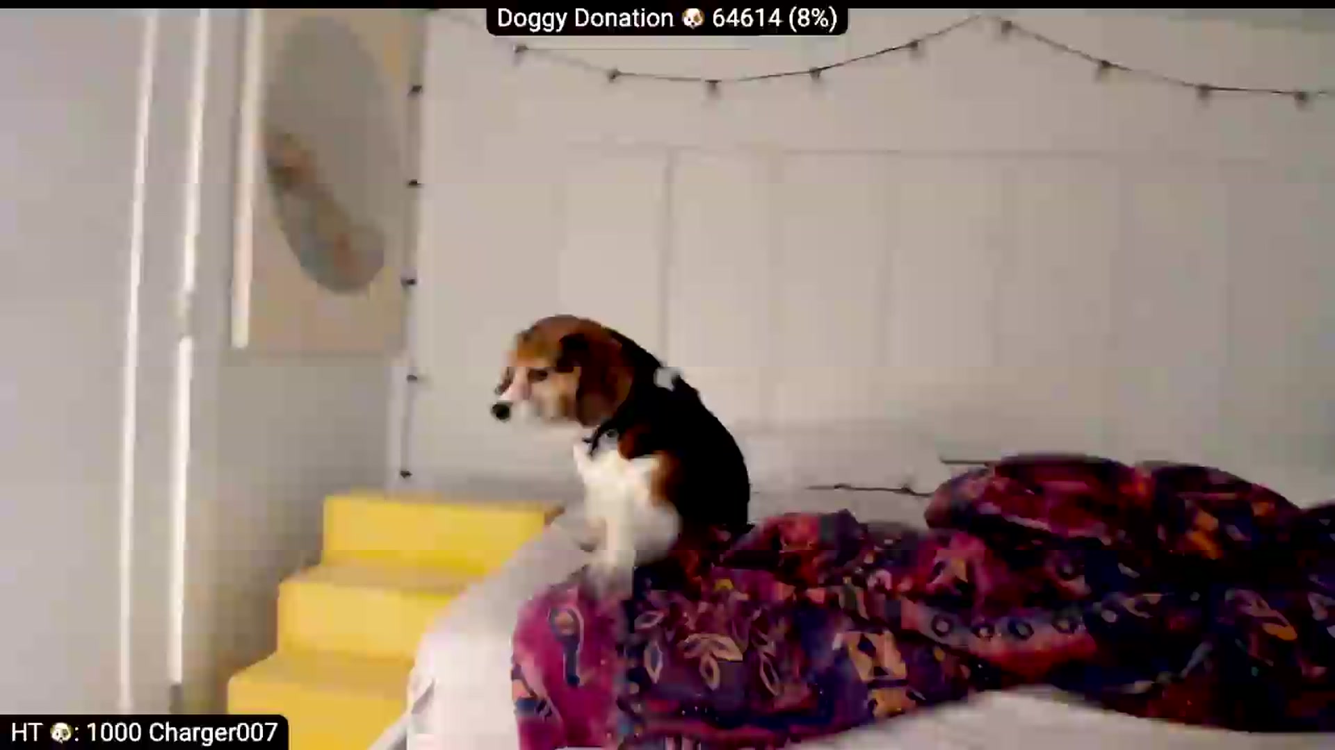 Gallery image thumbnail from AdorableDee's myfreecams stream on, 06/23/2026, 20:41 image 19 of 20