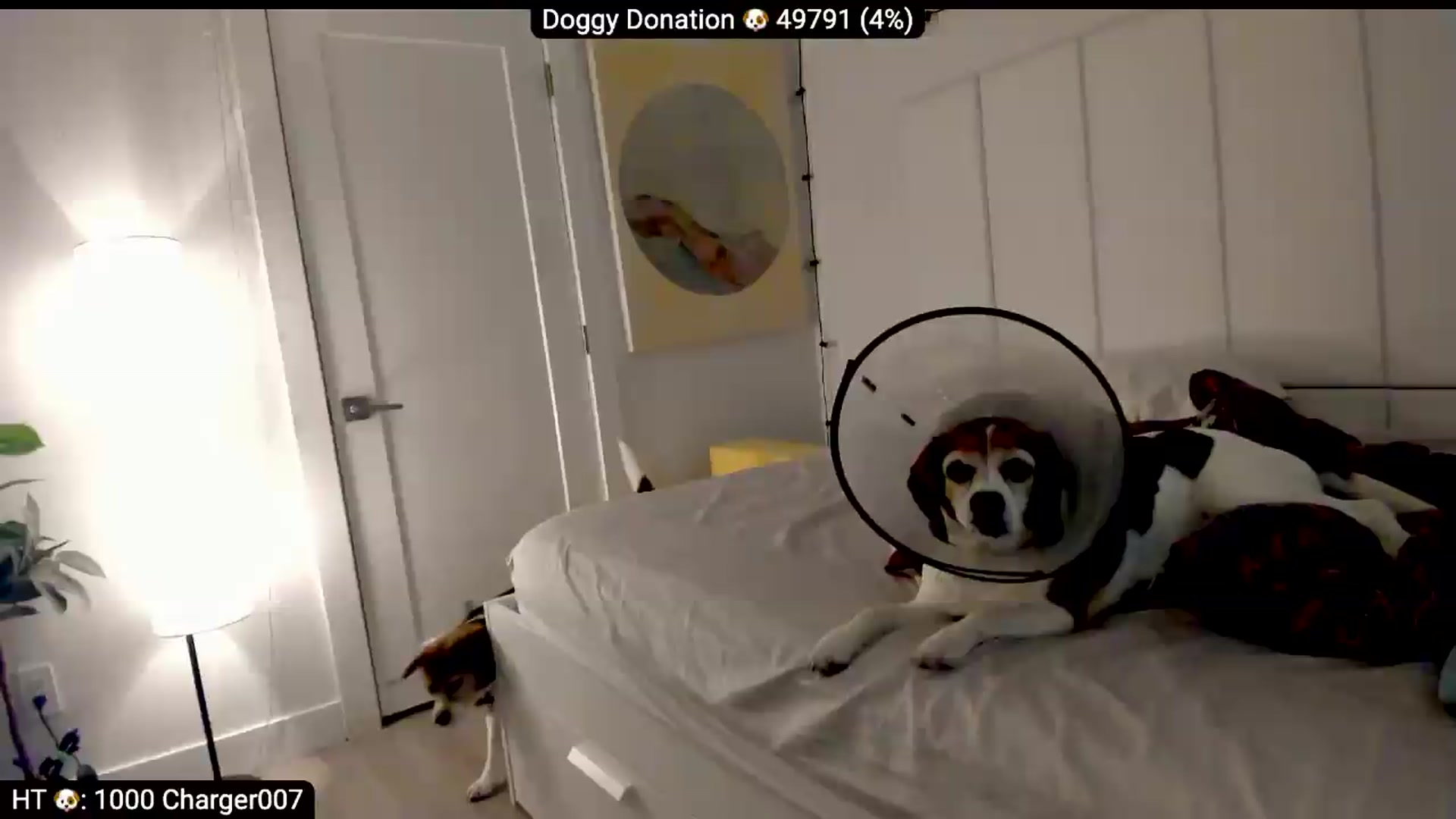 Gallery image thumbnail from AdorableDee's myfreecams stream on, 06/25/2026, 20:45 image 18 of 20