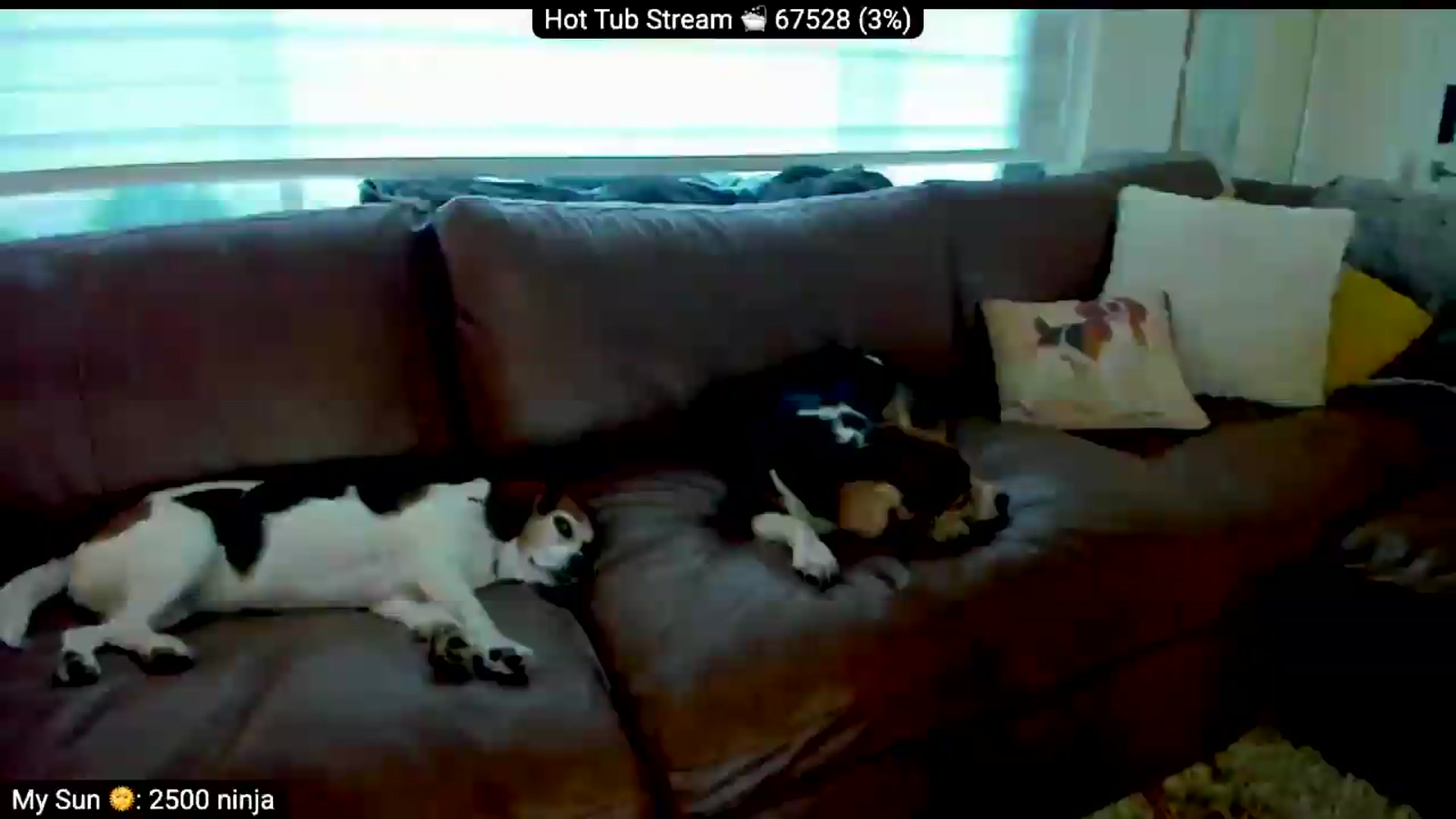 Gallery image thumbnail from AdorableDee's myfreecams stream on, 08/30/2026, 04:05 image 1 of 20