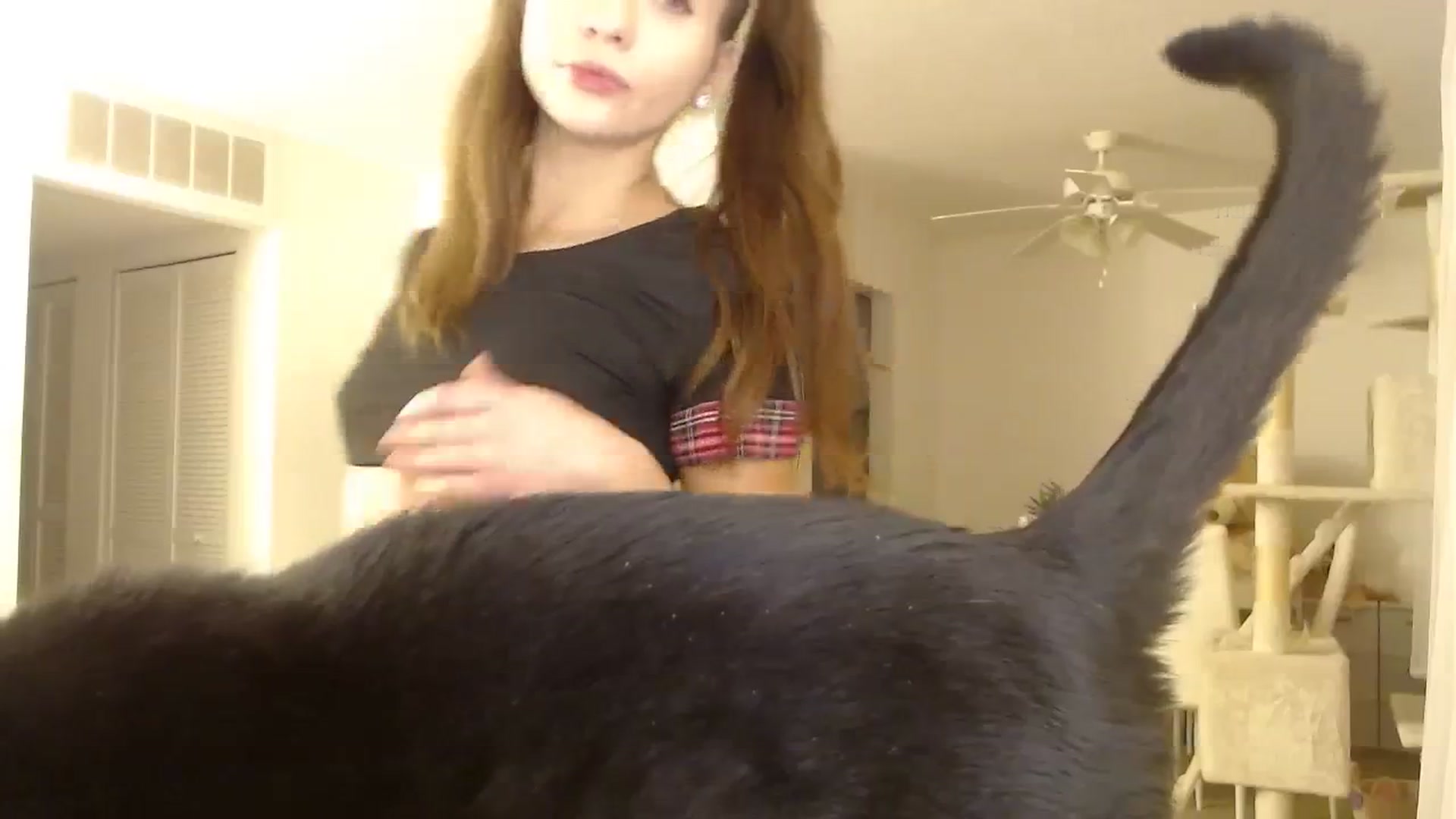 Gallery image thumbnail from Adorable_Lola's myfreecams stream on, 11/03/2023, 24:22 image 18 of 20