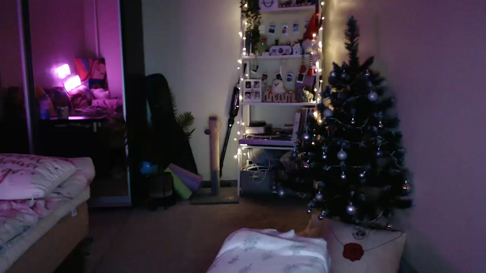 Gallery image thumbnail from Adriana_b's myfreecams stream on, 01/04/2025, 17:43 image 15 of 20