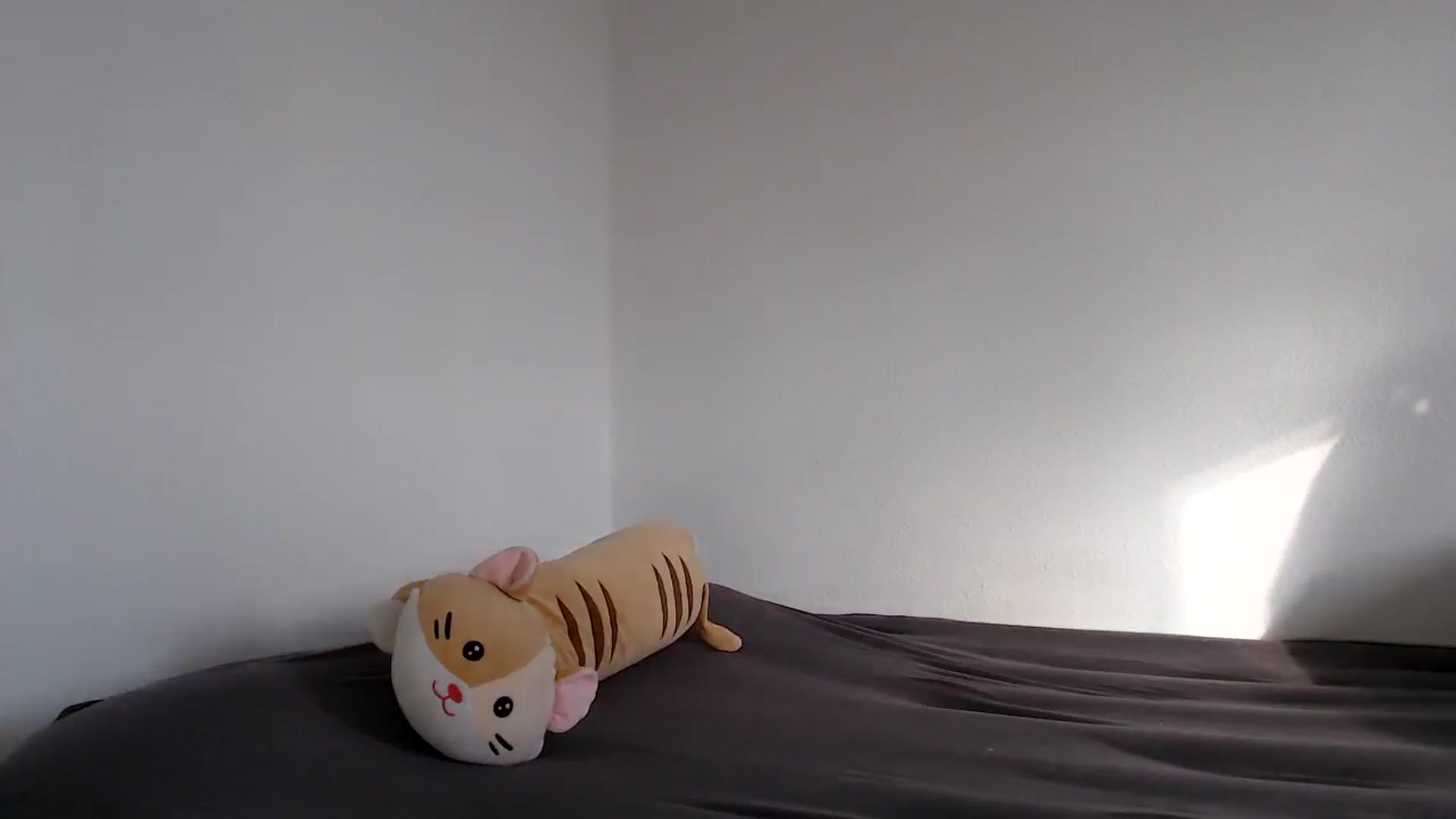 Gallery image thumbnail from Adriana_b's myfreecams stream on, 07/26/2025, 18:02 image 2 of 20