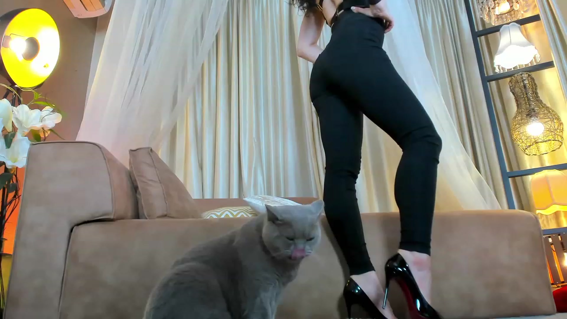 Gallery image thumbnail from AdySweet's myfreecams stream on, 11/24/2022, 01:52 image 3 of 20