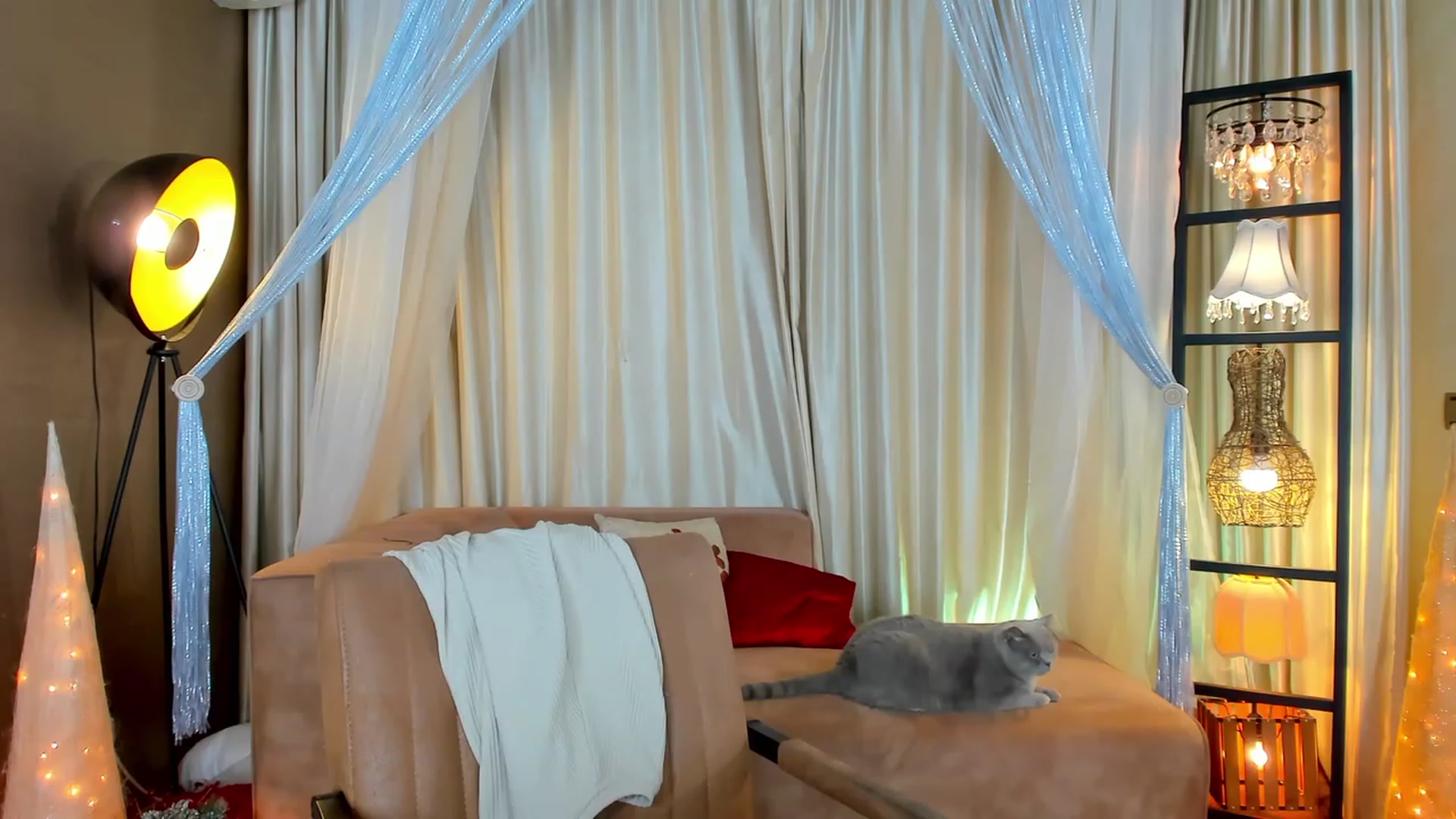 Gallery image thumbnail from AdySweet's myfreecams stream on, 12/12/2022, 01:11 image 5 of 20
