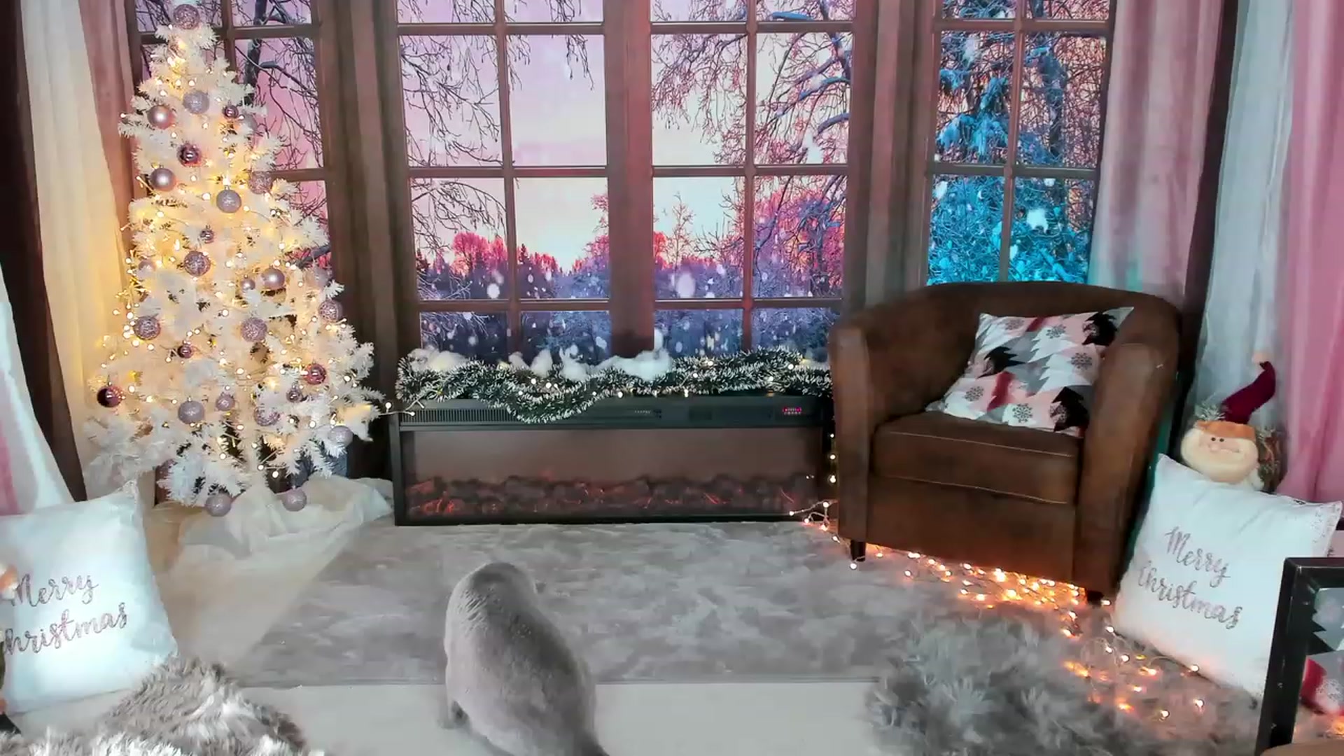 Gallery image thumbnail from AdySweet's myfreecams stream on, 12/20/2022, 03:19 image 3 of 20