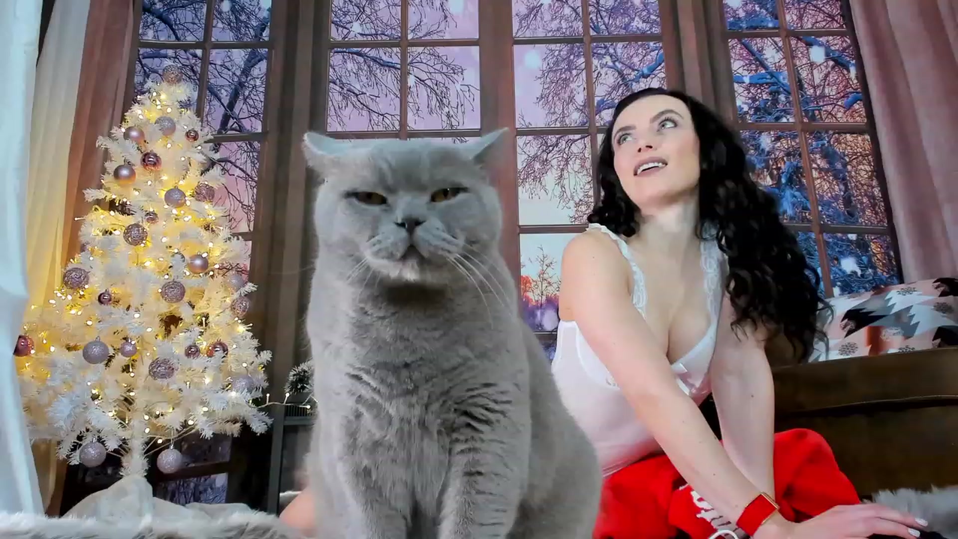 Gallery image thumbnail from AdySweet's myfreecams stream on, 12/22/2022, 03:22 image 2 of 20