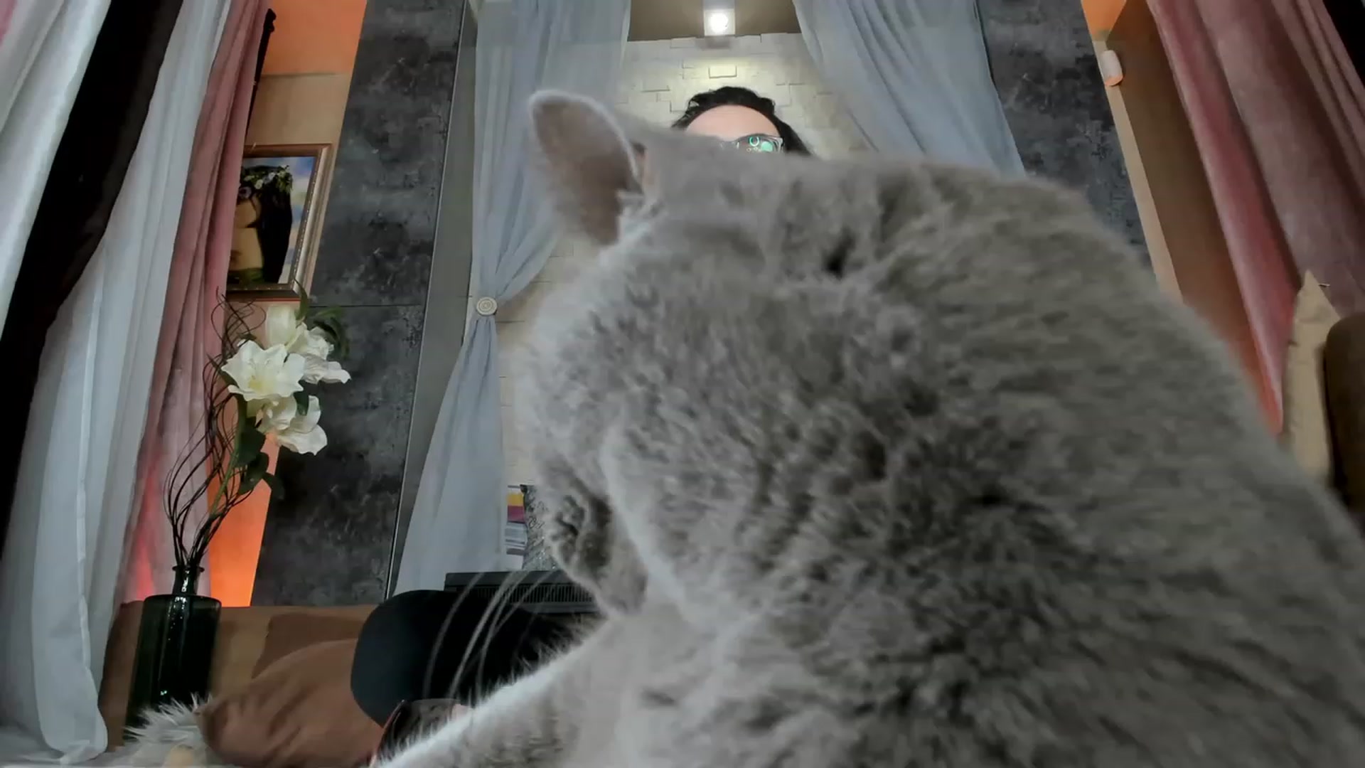 Gallery image thumbnail from AdySweet's myfreecams stream on, 01/30/2023, 02:39 image 16 of 20