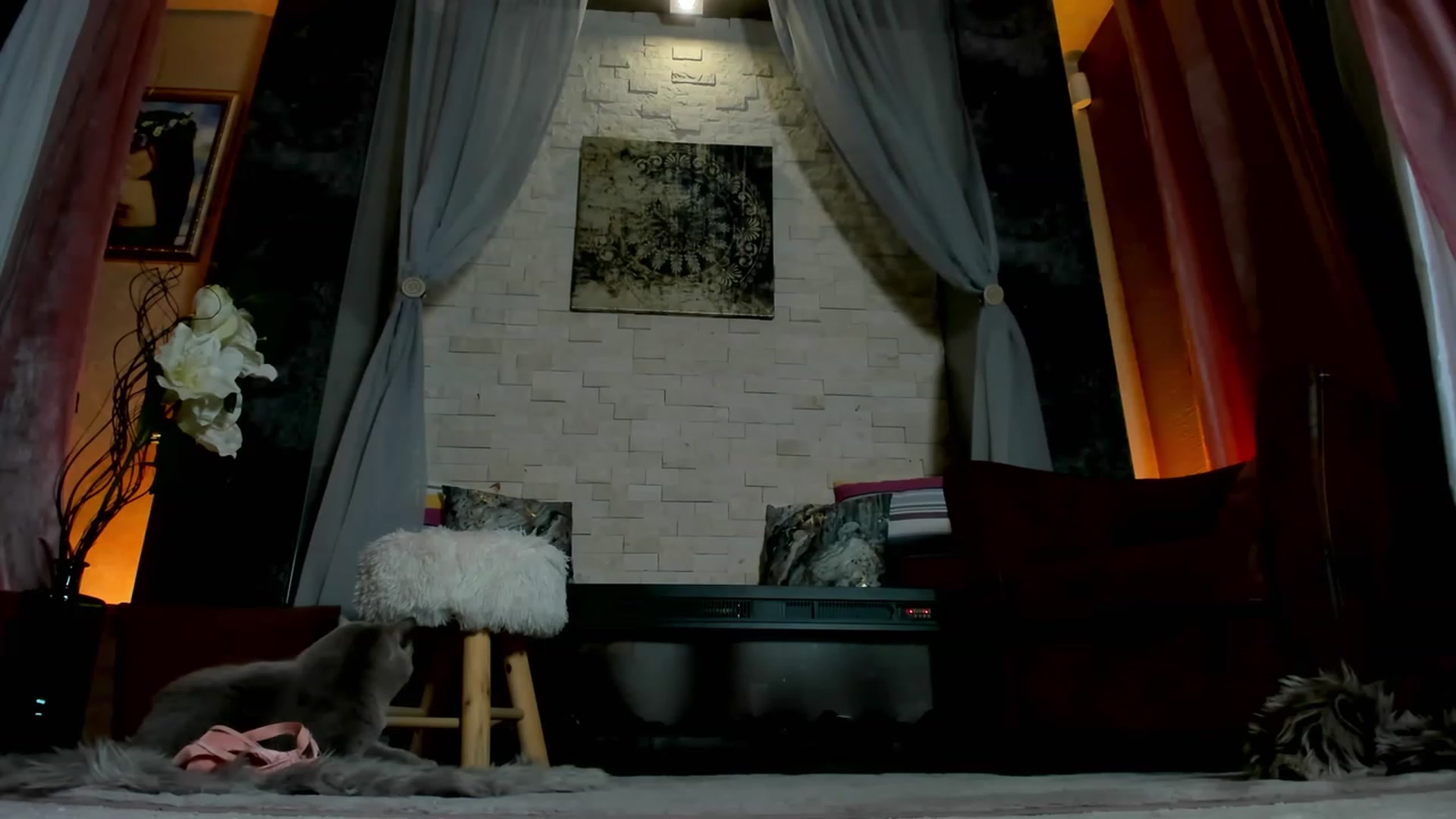 Gallery image thumbnail from AdySweet's myfreecams stream on, 03/07/2023, 03:01 image 14 of 20