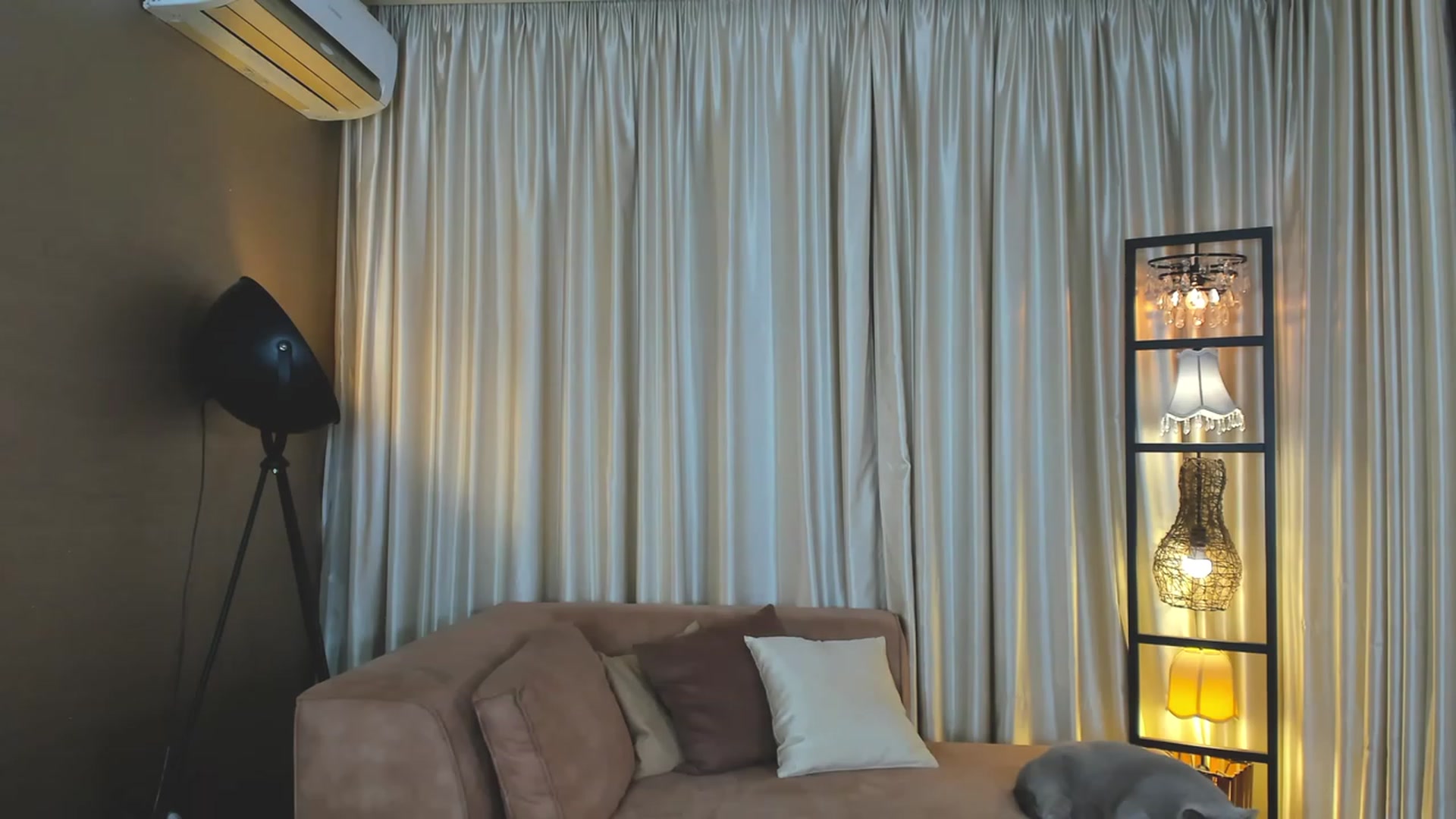 Gallery image thumbnail from AdySweet's myfreecams stream on, 10/29/2023, 02:21 image 19 of 20