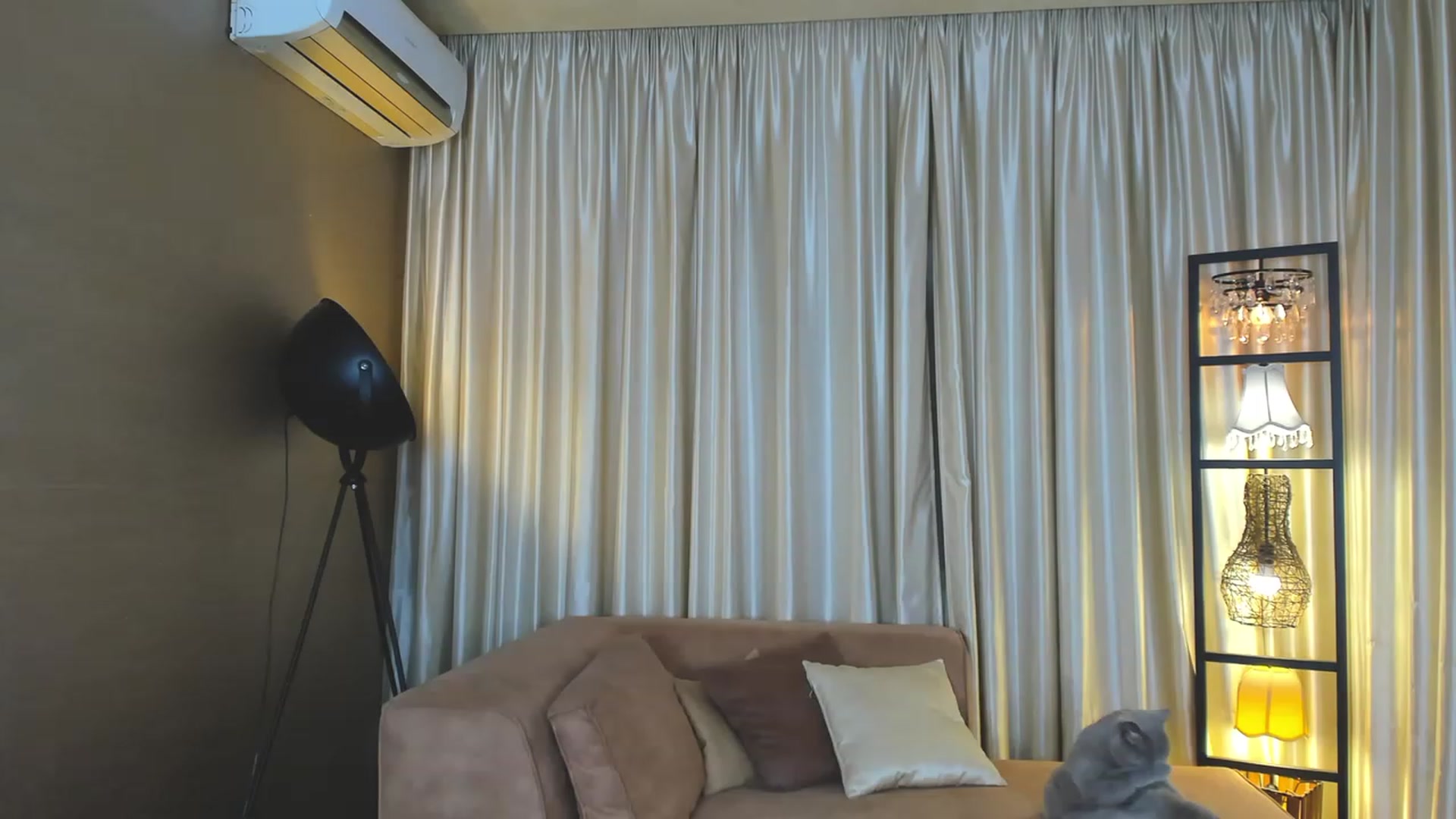 Gallery image thumbnail from AdySweet's myfreecams stream on, 11/10/2023, 03:11 image 5 of 20