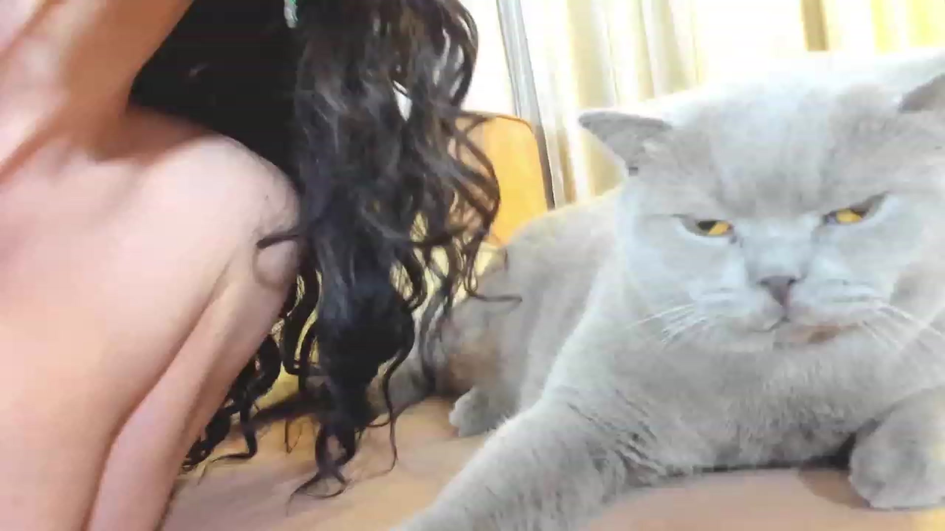 Gallery image thumbnail from AdySweet's myfreecams stream on, 11/29/2023, 02:57 image 17 of 20