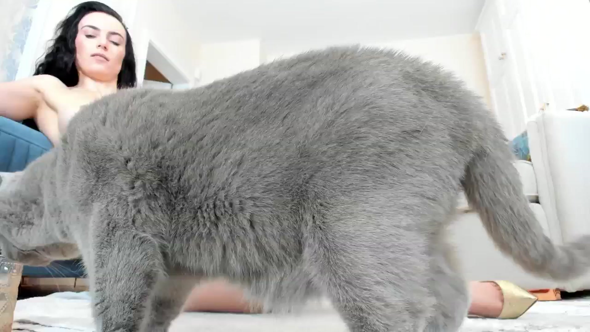 Gallery image thumbnail from AdySweet's myfreecams stream on, 07/21/2024, 04:09 image 3 of 20