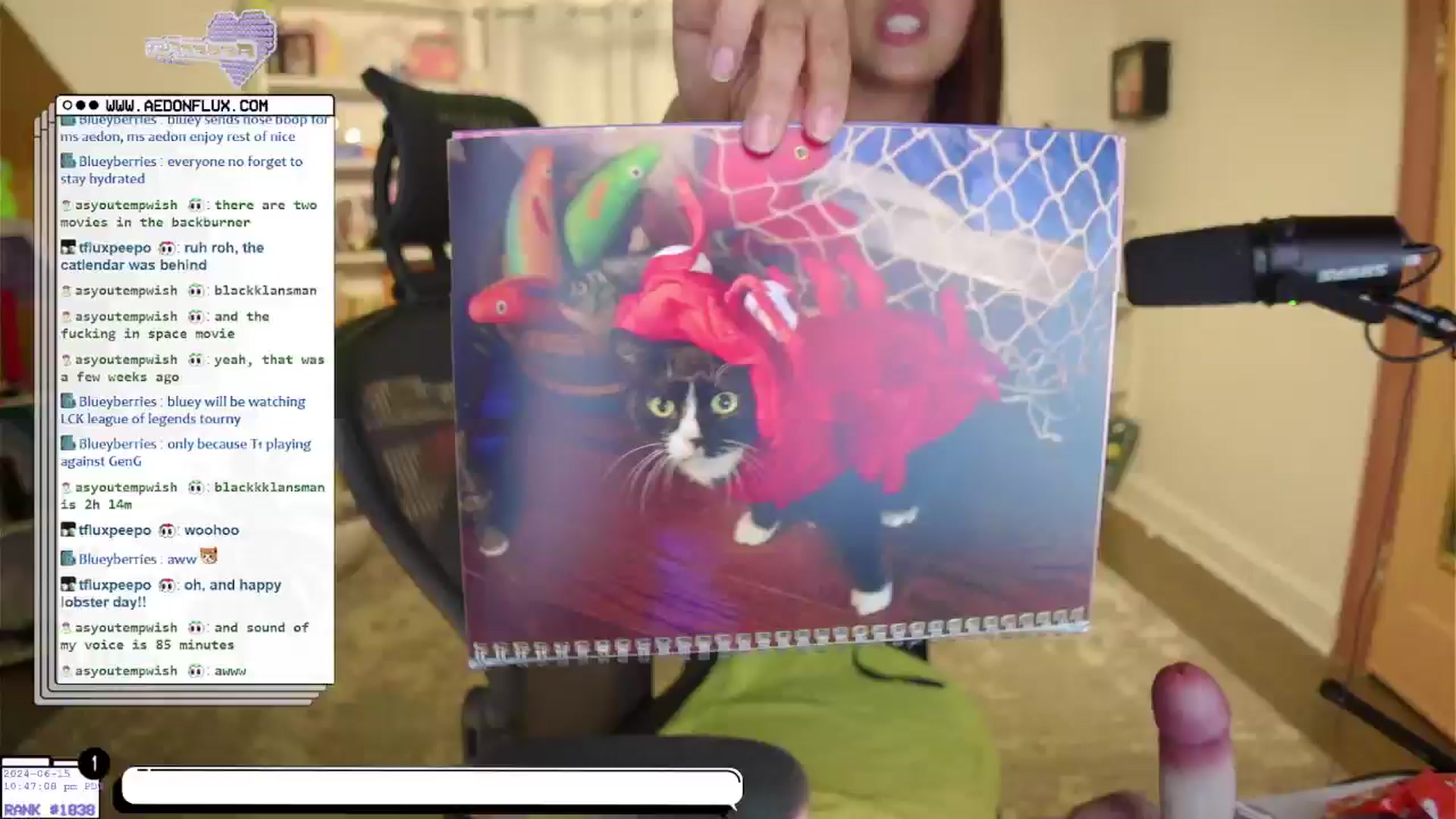 Gallery image thumbnail from AedonFlux's myfreecams stream on, 06/16/2024, 05:51 image 20 of 20