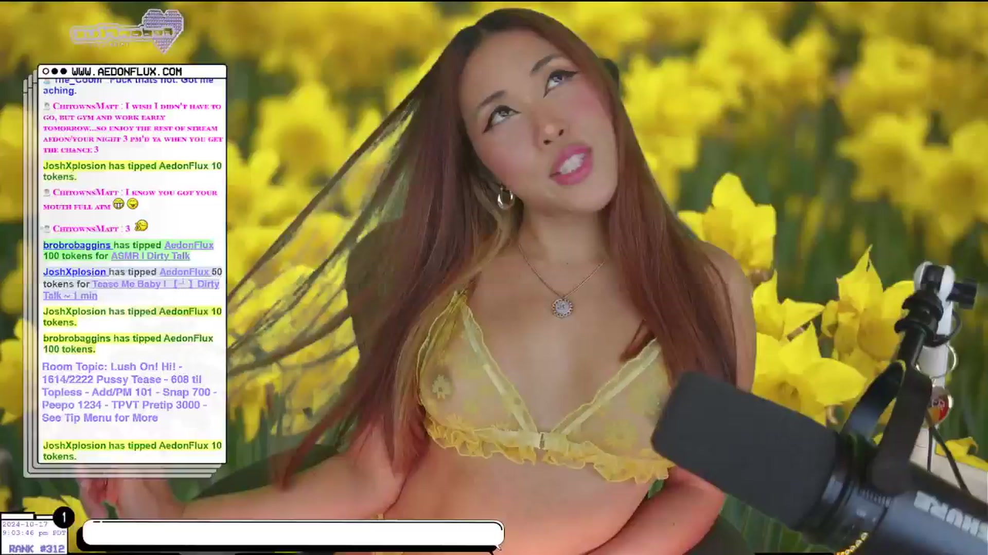 Gallery image thumbnail from AedonFlux's myfreecams stream on, 10/18/2024, 05:51 image 7 of 20