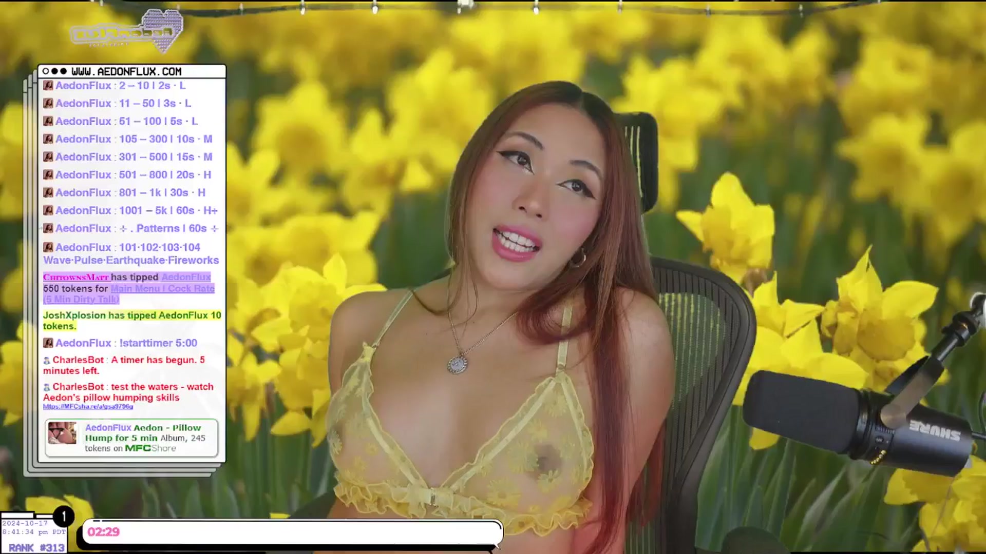Gallery image thumbnail from AedonFlux's myfreecams stream on, 10/18/2024, 05:51 image 4 of 20
