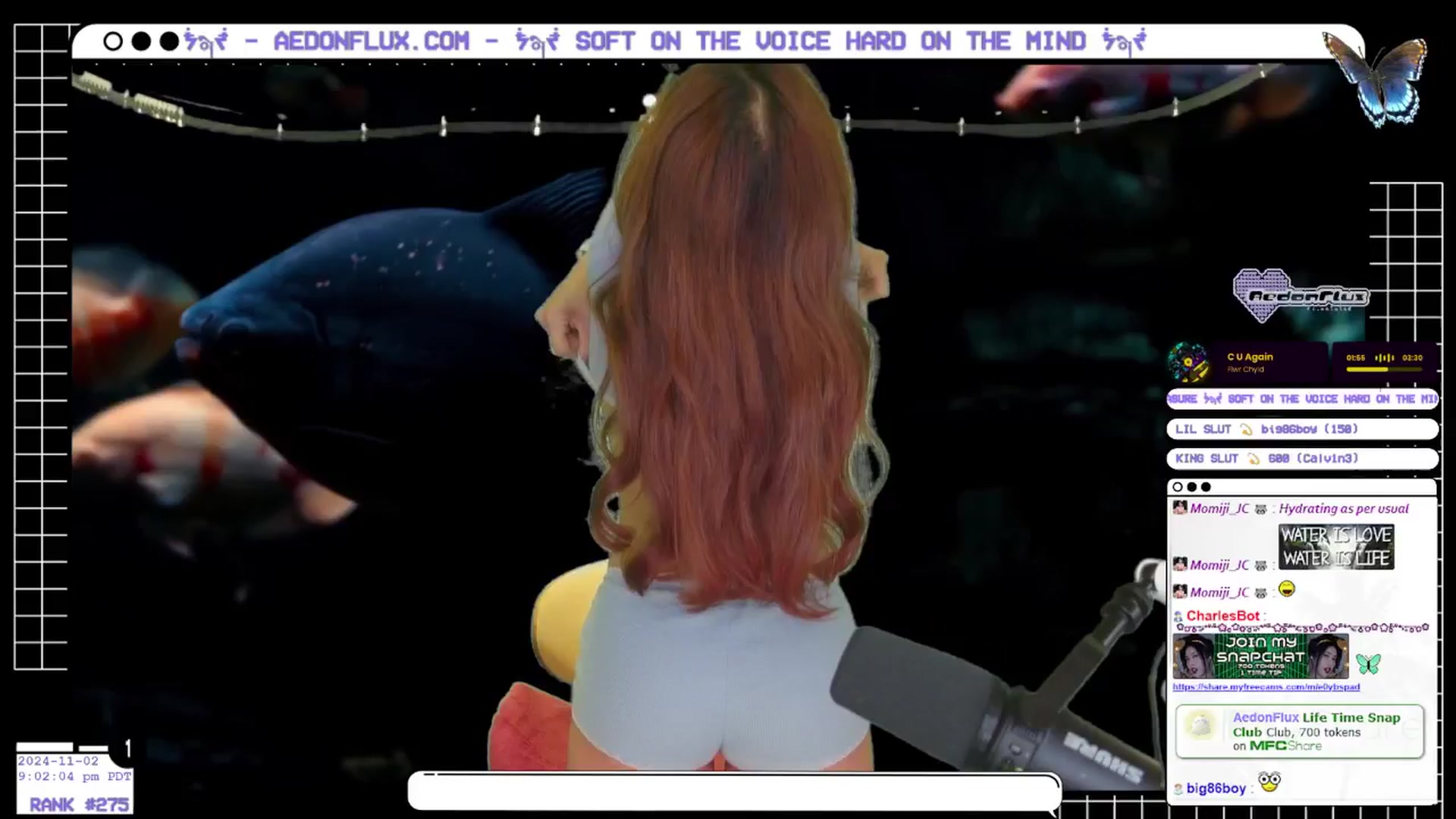 Gallery image thumbnail from AedonFlux's myfreecams stream on, 11/03/2024, 05:21 image 4 of 20