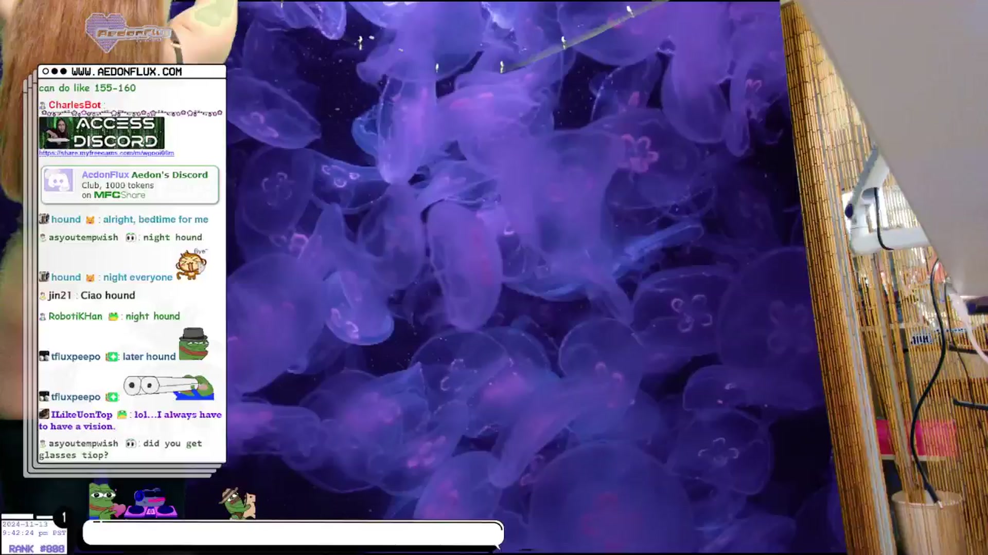Gallery image thumbnail from AedonFlux's myfreecams stream on, 11/14/2024, 07:08 image 9 of 20