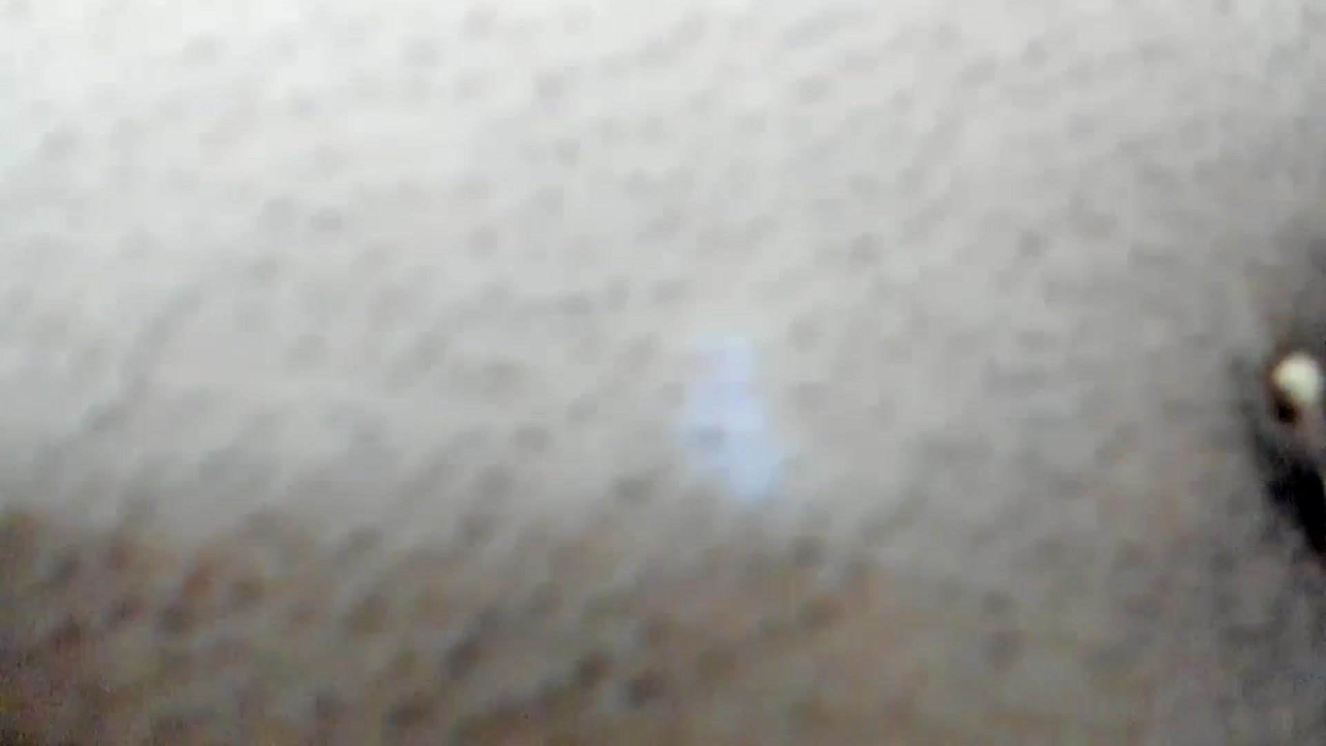 Gallery image thumbnail from Aeena's myfreecams stream on, 10/24/2023, 13:03 image 19 of 20