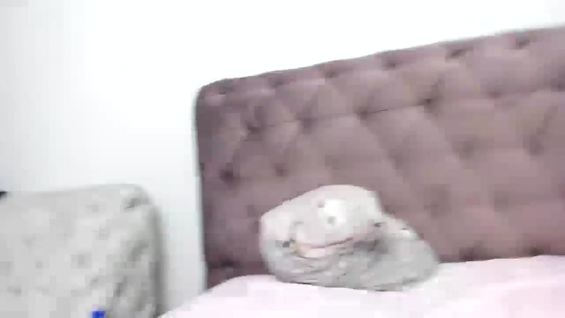 Gallery image thumbnail from Aeena's myfreecams stream on, 12/13/2023, 23:05 image 17 of 20