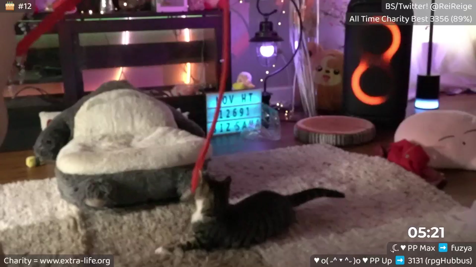 Gallery image thumbnail from Aereith's myfreecams stream on, 11/20/2025, 17:19 image 8 of 20