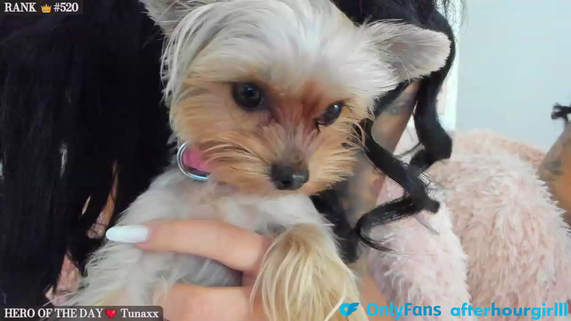 Gallery image thumbnail from Afterhourgirl's myfreecams stream on, 09/23/2023, 20:46 image 12 of 20