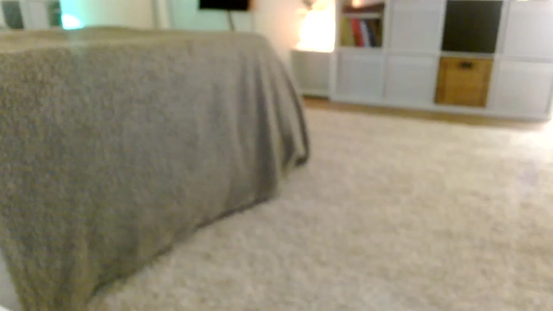 Gallery image thumbnail from AgentRabbit's myfreecams stream on, 02/13/2024, 15:24 image 3 of 20