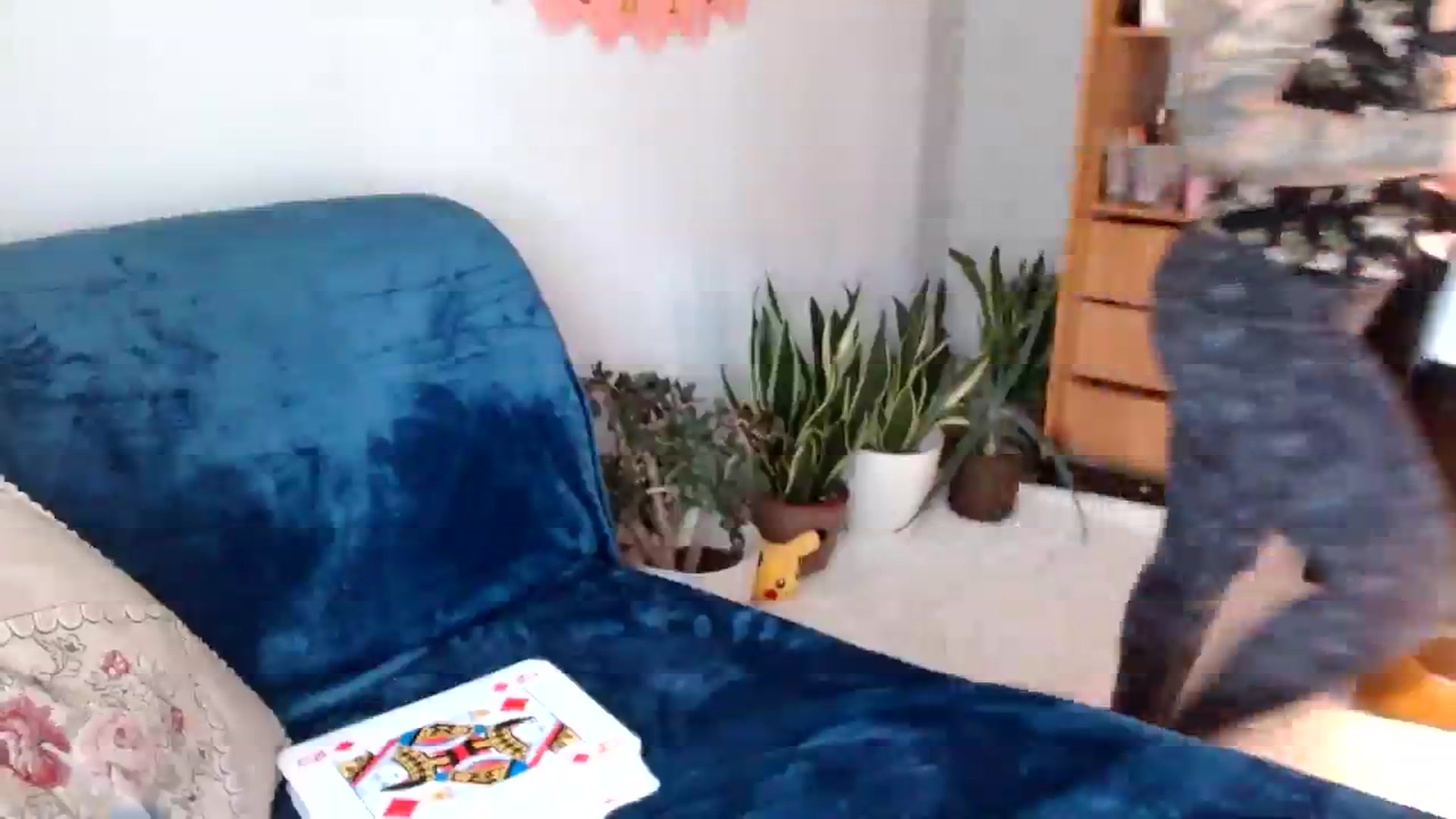 Gallery image thumbnail from AgentRabbit's myfreecams stream on, 04/13/2024, 11:18 image 19 of 20