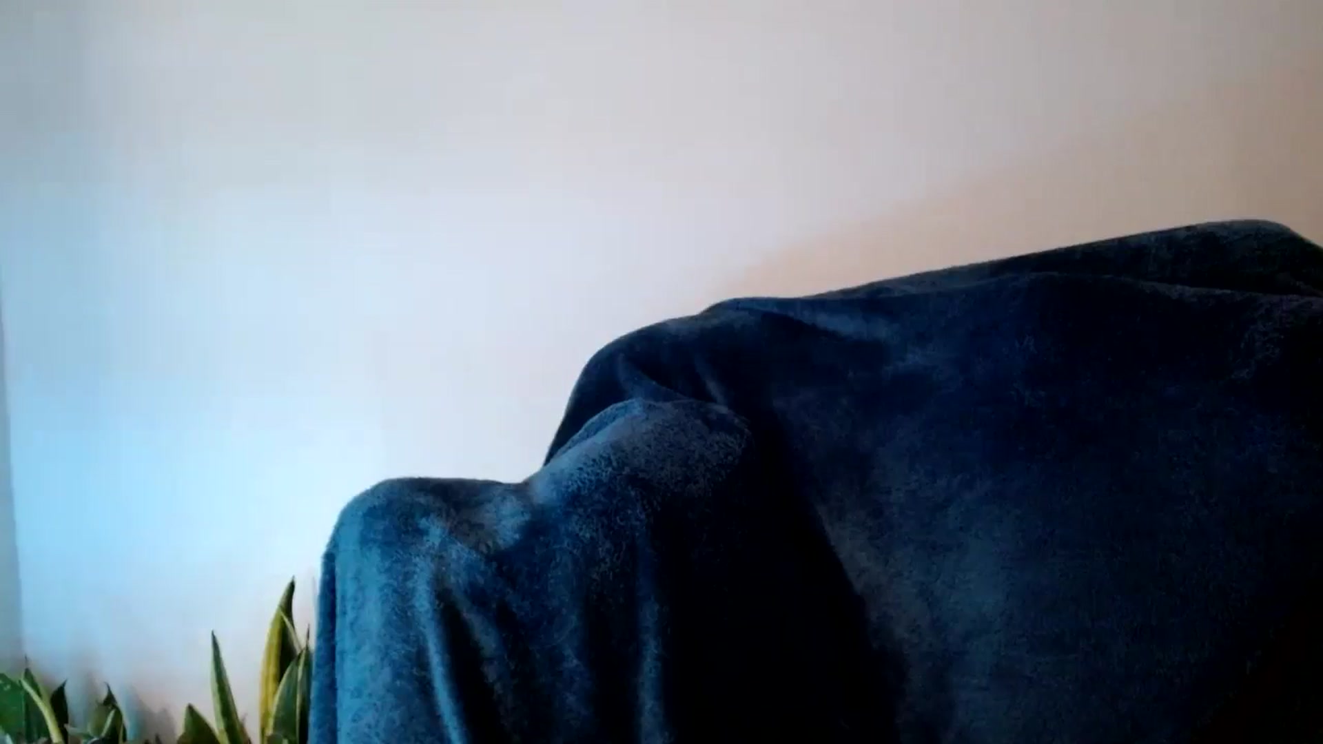 Gallery image thumbnail from AgentRabbit's myfreecams stream on, 04/20/2024, 18:55 image 16 of 20