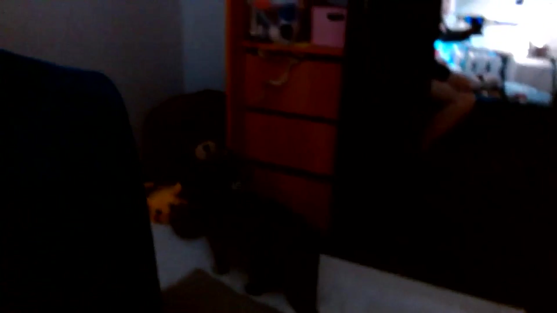 Gallery image thumbnail from AgentRabbit's myfreecams stream on, 04/20/2024, 18:55 image 12 of 20