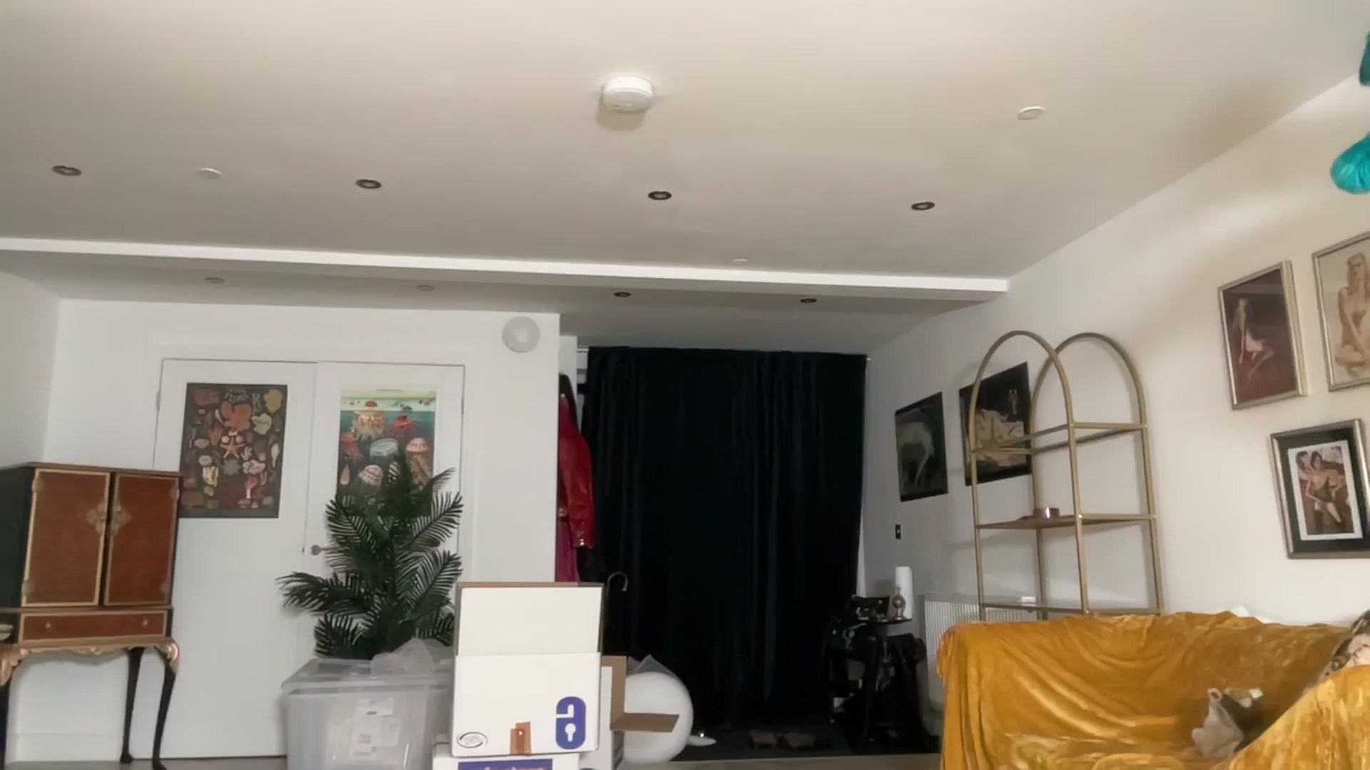 Gallery image thumbnail from AgentTease's myfreecams stream on, 09/29/2024, 24:01 image 12 of 20