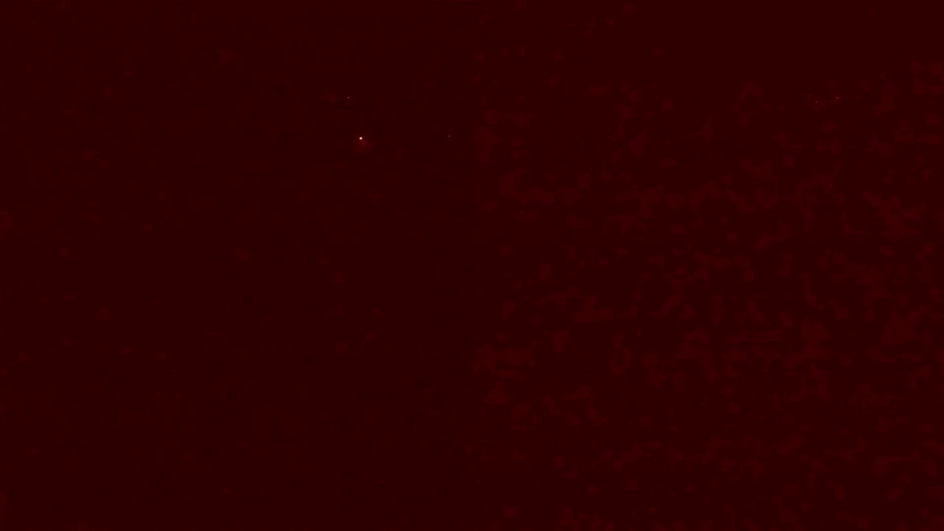Gallery image thumbnail from Agostinha_Red's myfreecams stream on, 05/31/2024, 04:14 image 3 of 20